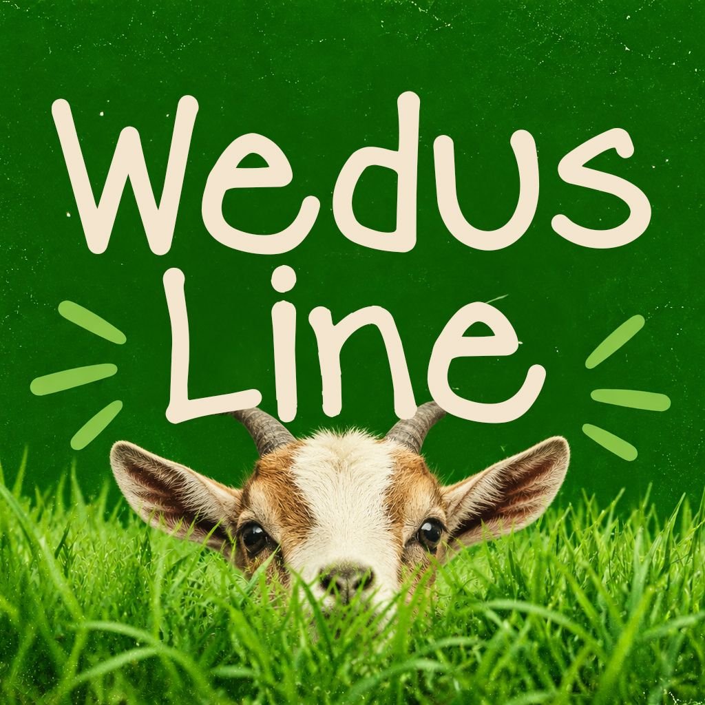 Wedos Line Font Specimen Preview