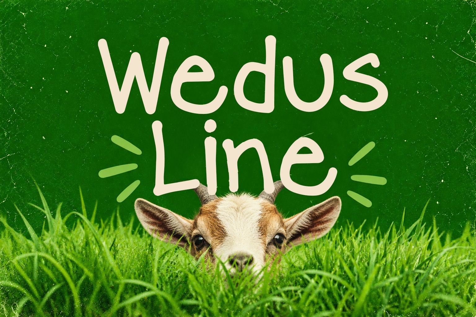 Wedos Line Font Specimen Preview